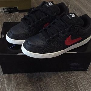 Nike Zoom Team Edition